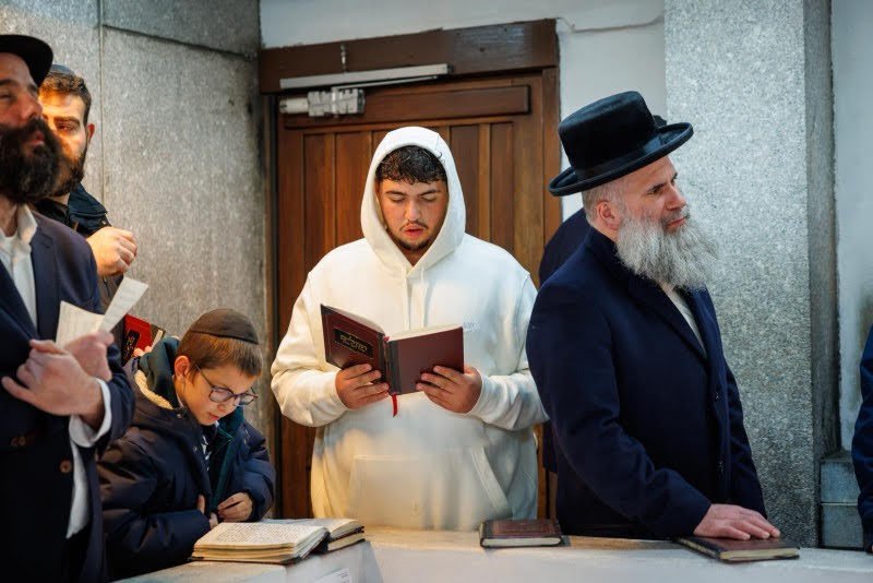 דניאל נפוסי