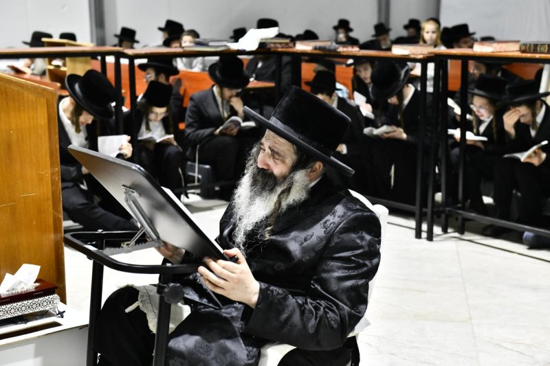 שוקי לרר