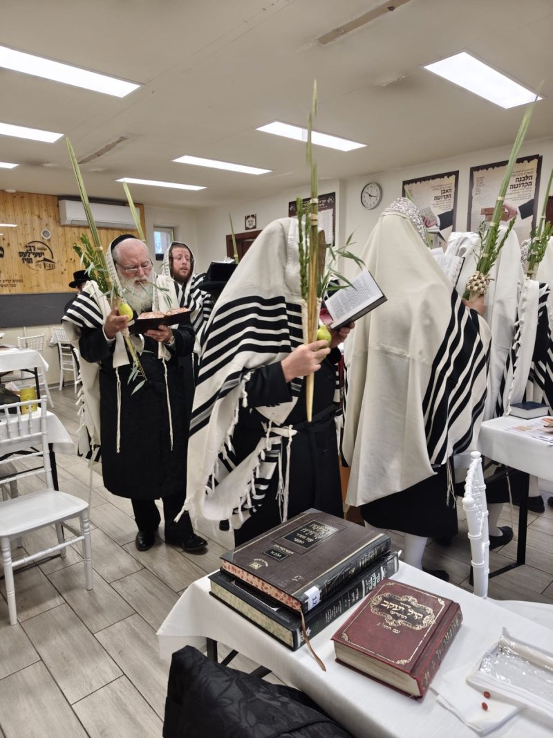 באדיבות המצלם