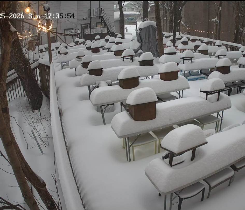 מצלמות האבטחה