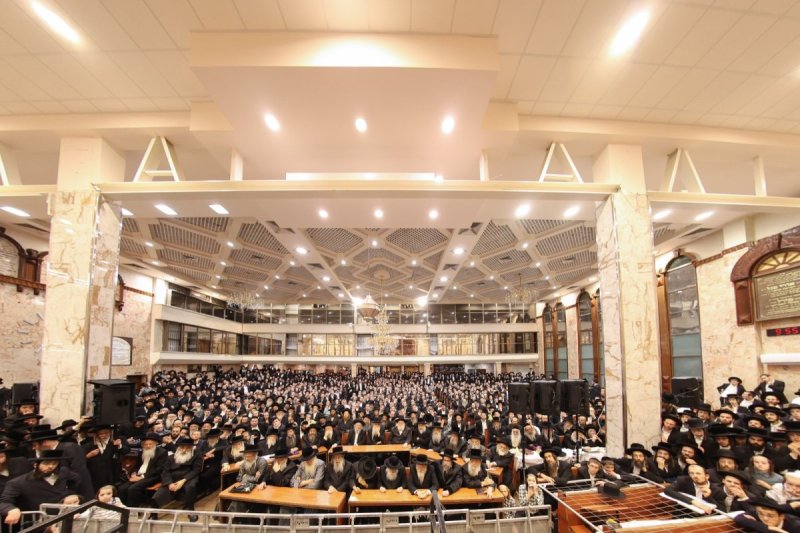 דוד ארזני