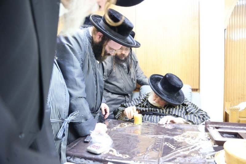 שלומי טריכטר