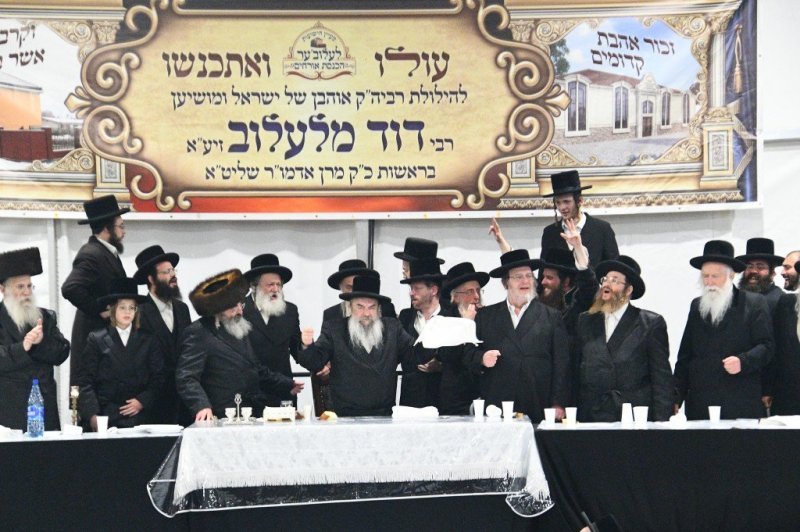 ארי קופרשטוק