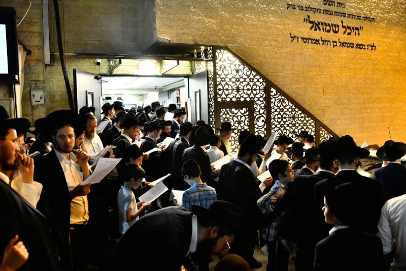 שוקי לרר