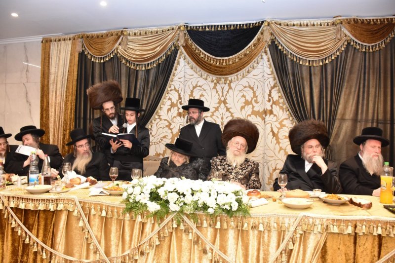 יהודה פרקוביץ