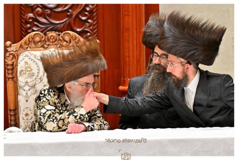יהושע פרוכטר