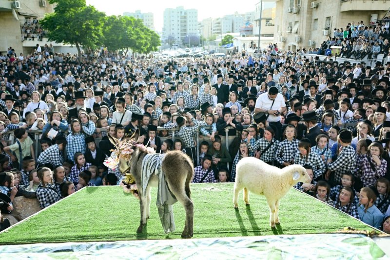משה גולדשטיין