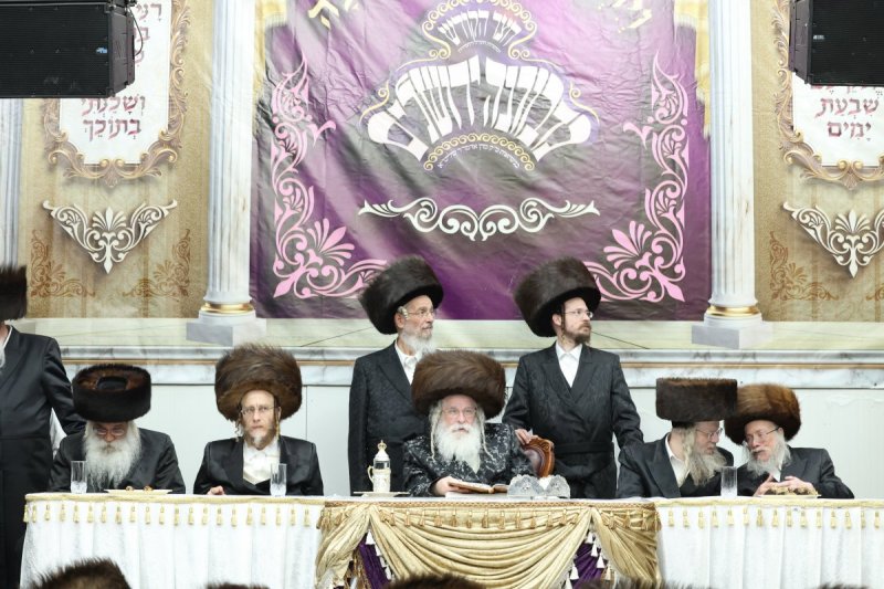 דוד ארזני וארי קופרשטוק