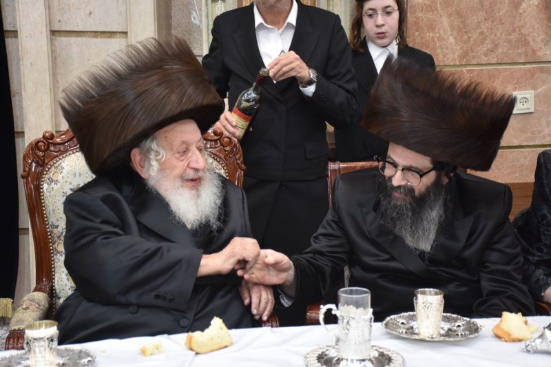 יהודה פרקוביץ