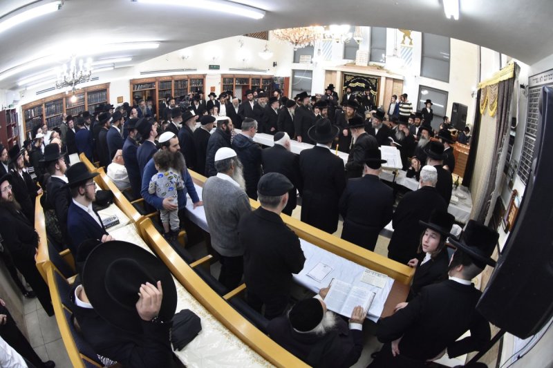 יהודה פרקוביץ