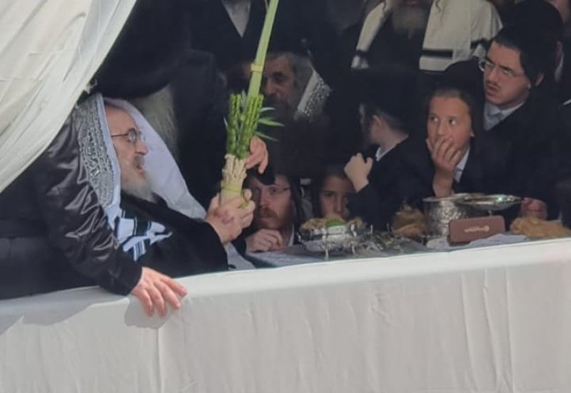באדיבות המצלם