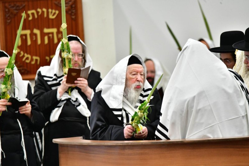 שוקי לרר