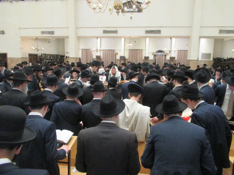 באדיבות המצלם