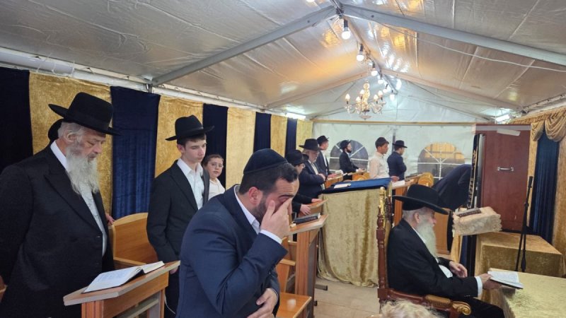 באדיבות המצלם