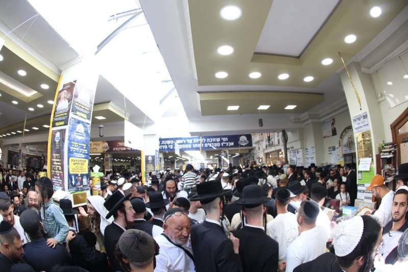 יהודה וויס