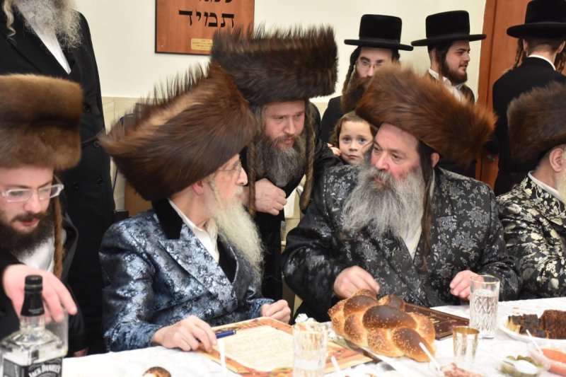 יהודה פרקוביץ