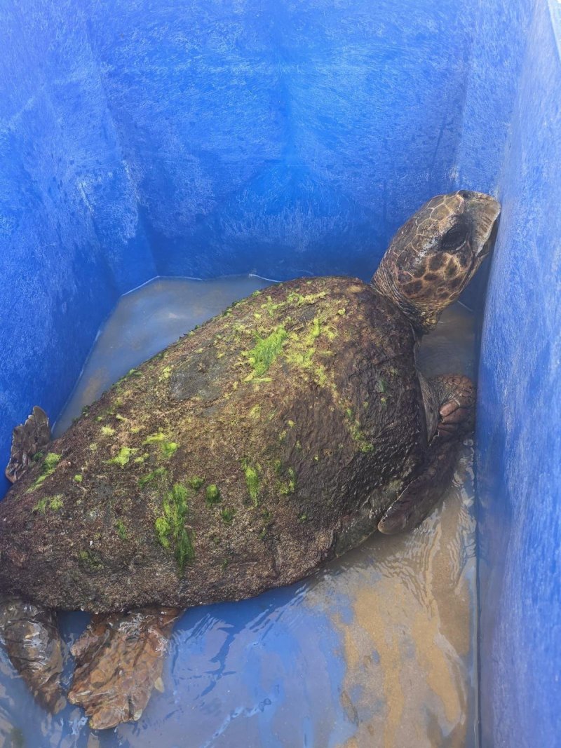 משרד הביטחון