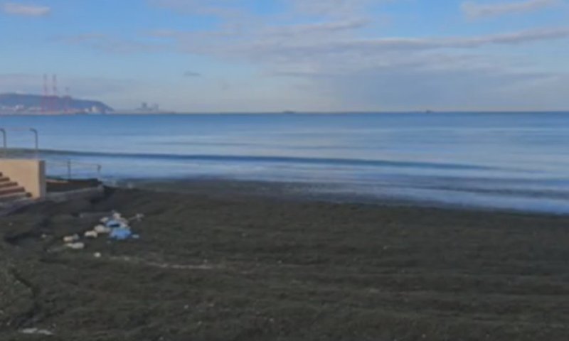 תיעוד יוצא דופן: הים פלט כמות אדירה של צמחייה