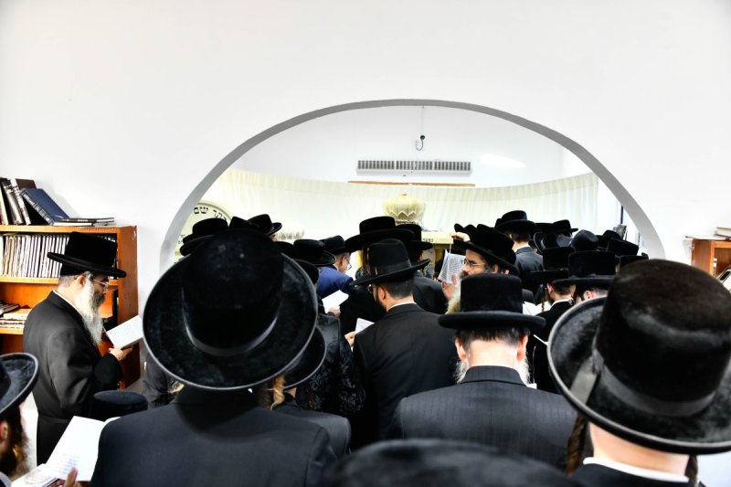 שוקי לרר