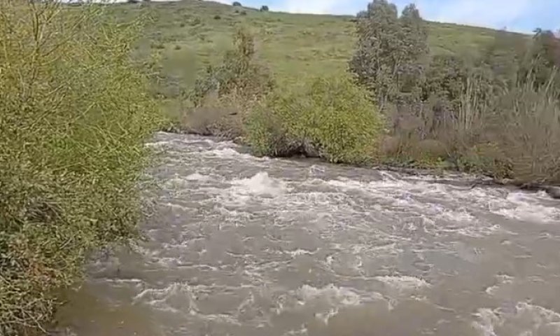 בעקבות הגשמים: נהר הירדן זורם במלוא הדרו