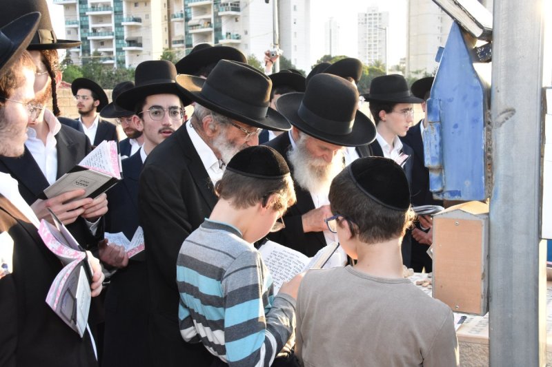 יהודה פרקוביץ