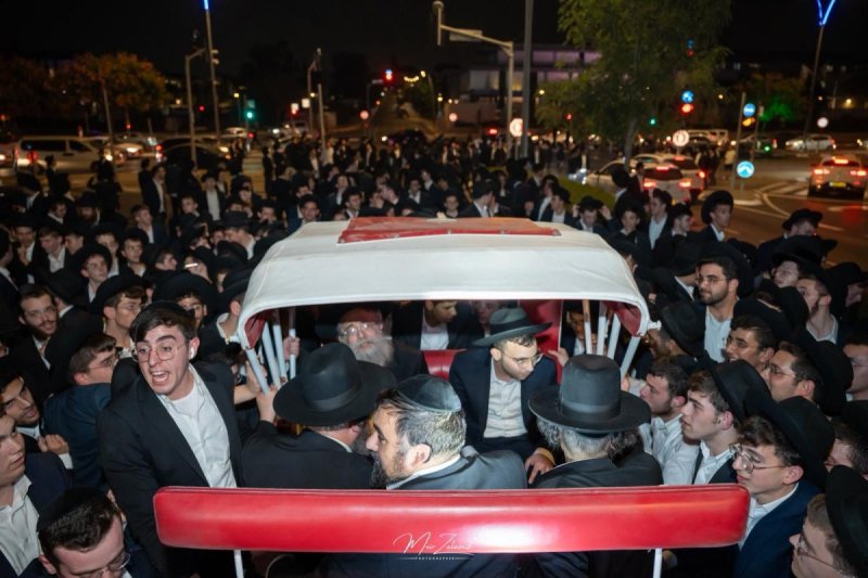 מאיר זלזניק