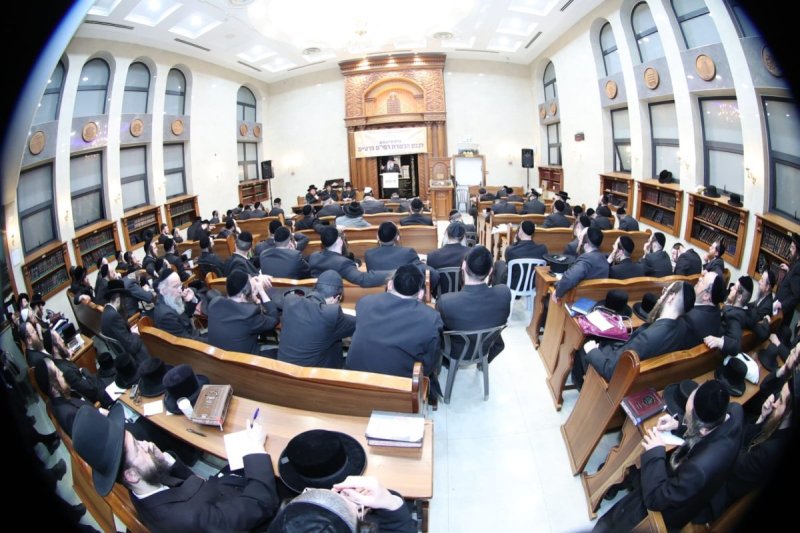 שלומי טריכטר