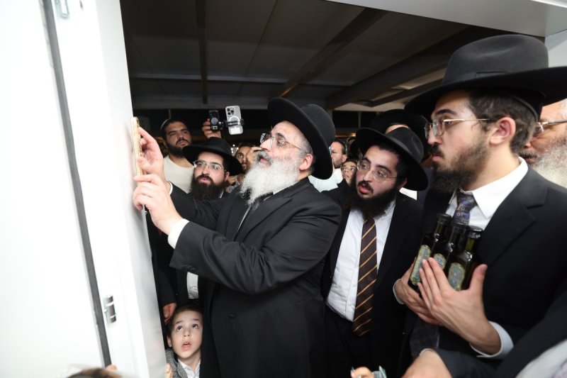 יעקב כהן