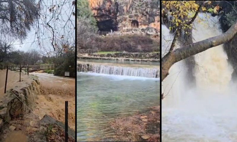 הטבע במלוא עוצמתו: זרימות הנחלים מצפון ועד דרום 