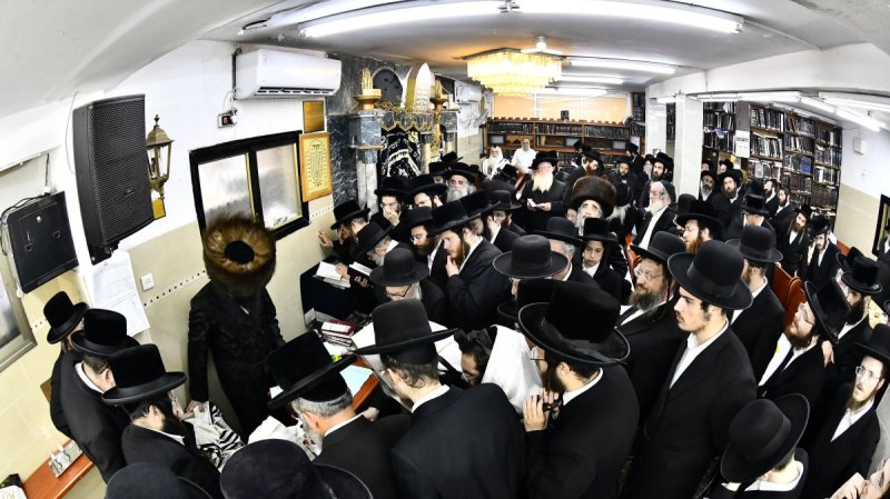 שוקי לרר