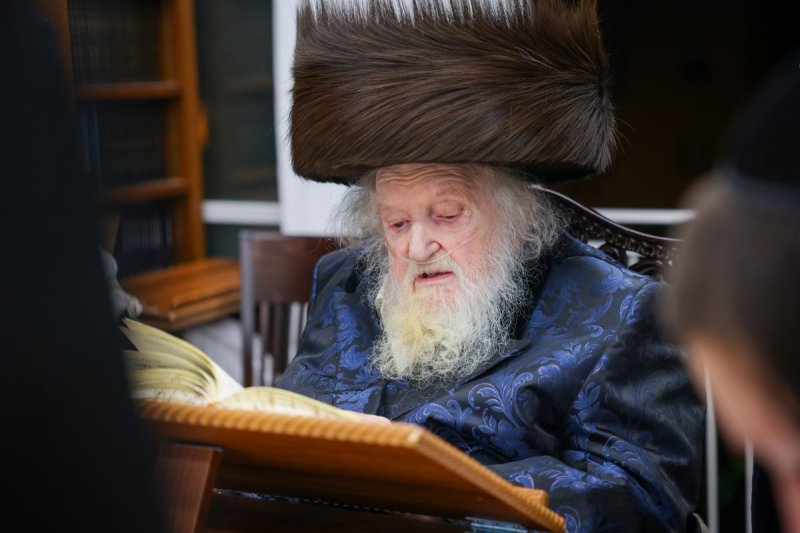 דניאל נפוסי