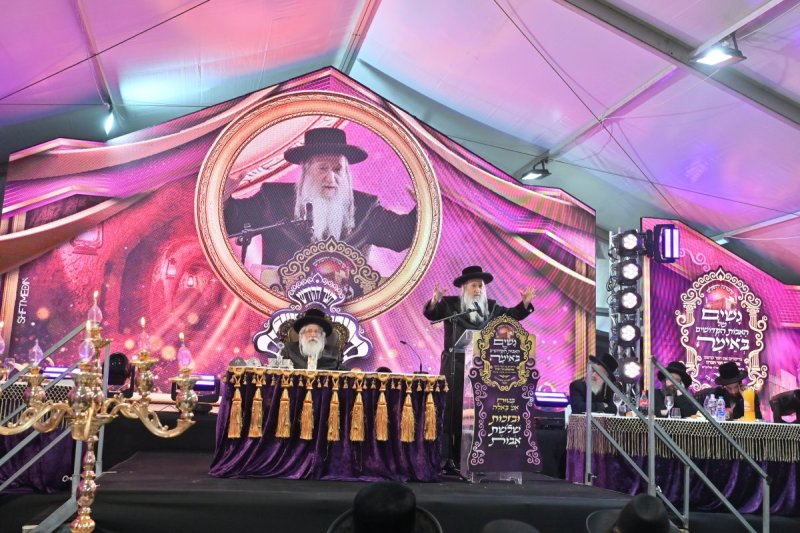 יהושע פרוכטר