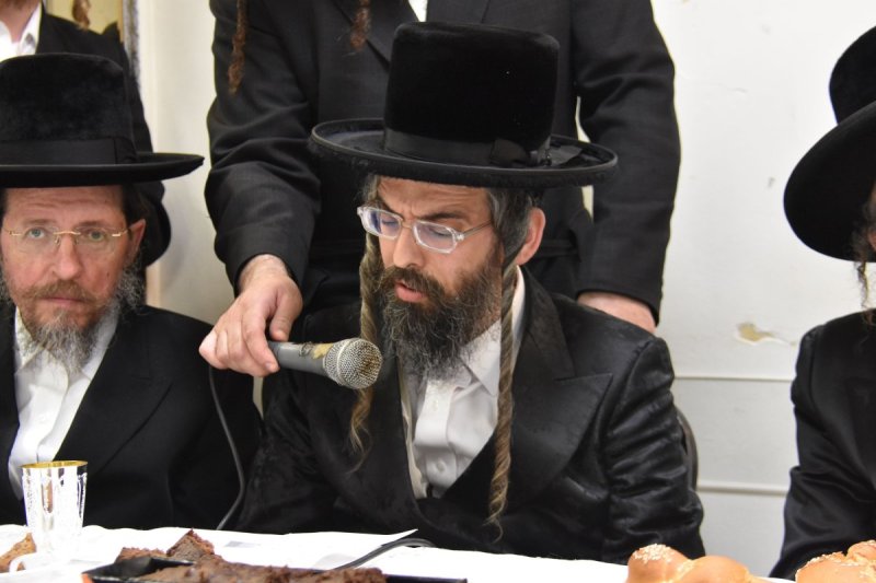 יהודה פרקוביץ