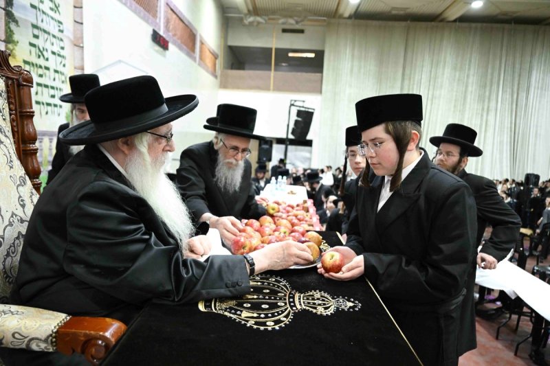 משה גולדשטיין