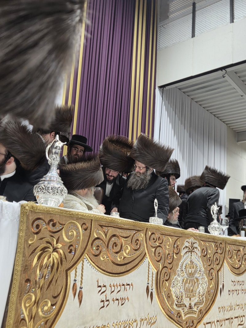 יוסי גולדברגר