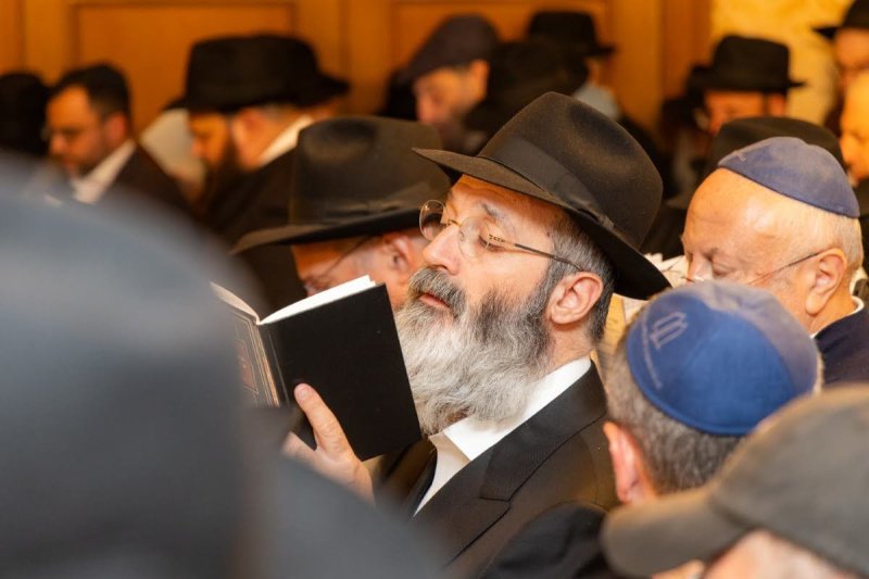 דוברות הקהילה