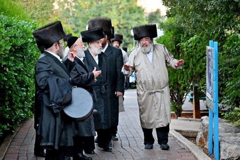 יהושע פרוכטר