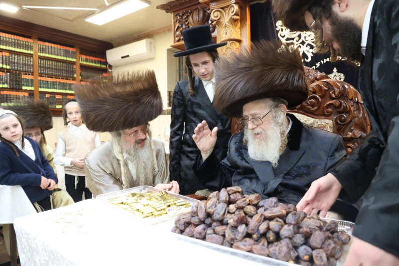 שלומי טריכטר