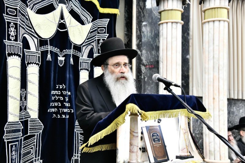 שוקי לרר