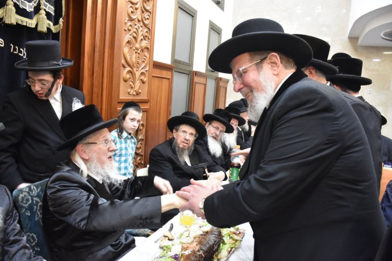 יהודה פרקוביץ