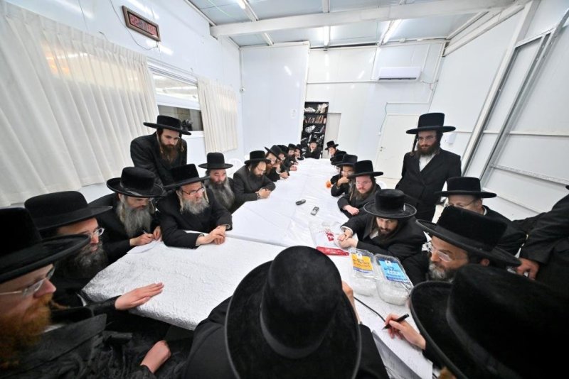 יהושע פרוכטר