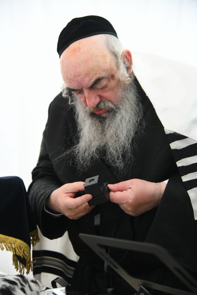 ארי קופרשטוק - פולין