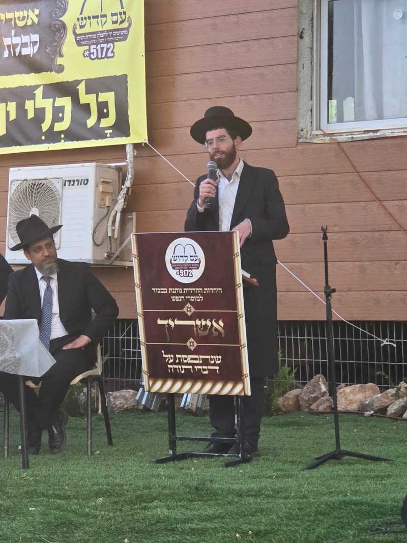 שימי קליין