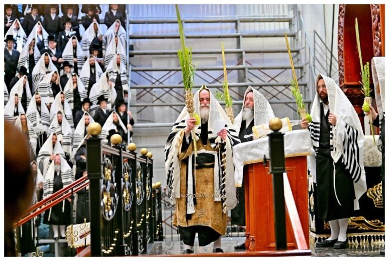 יהושע פרוכטר