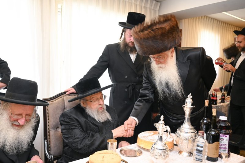 משה גולדשטיין דוד ארזני