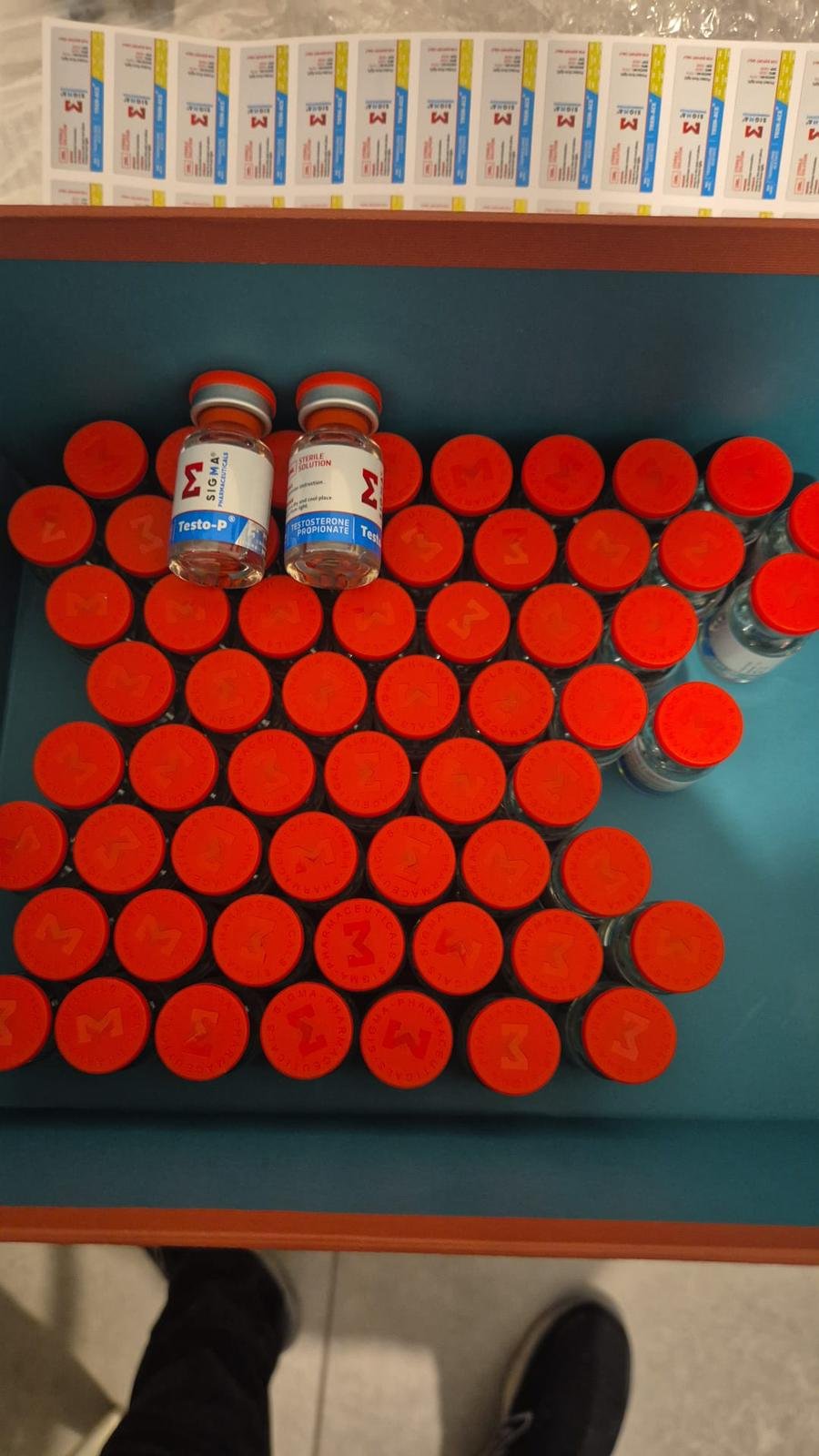 דוברות המשטרה