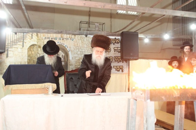 איתי קצב