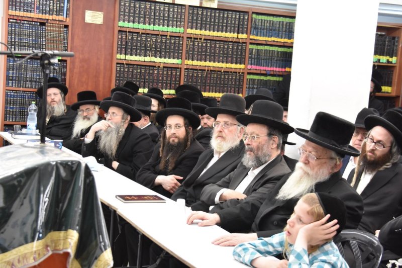 יהודה פרקוביץ