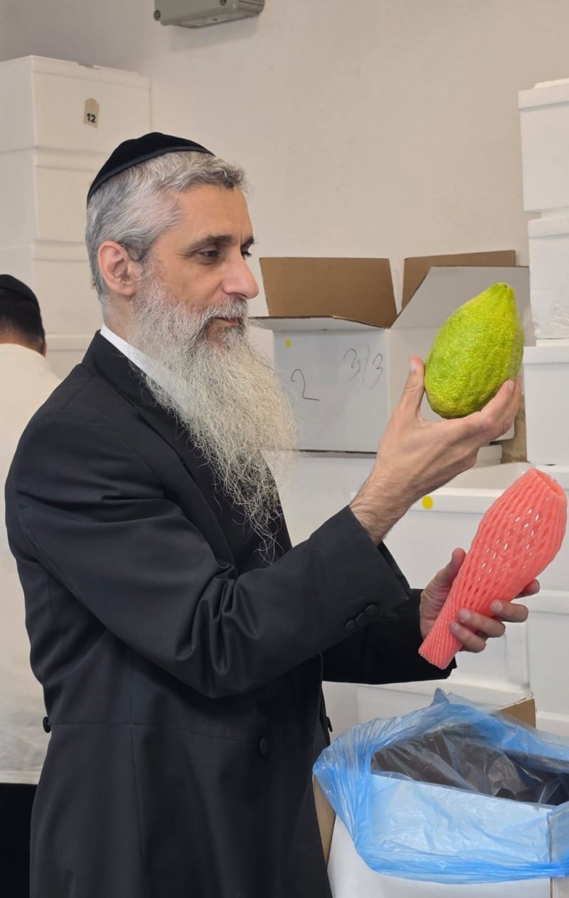 באדיבות המצלם