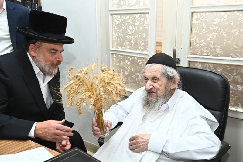 שוקי לרר